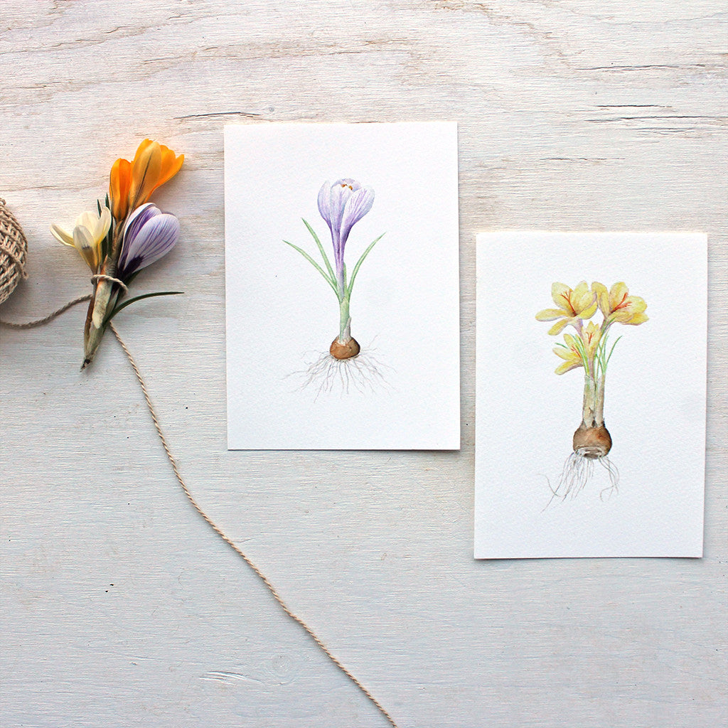 Watercolor images of two crocus art prints by artist Kathleen Maunder (trowelandpaintbrush)