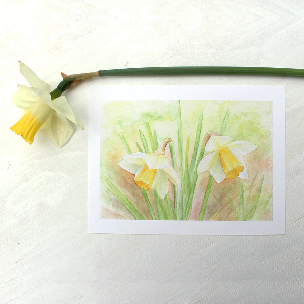 Watercolor Art Print of two yellow daffodils by Kathleen Maunder