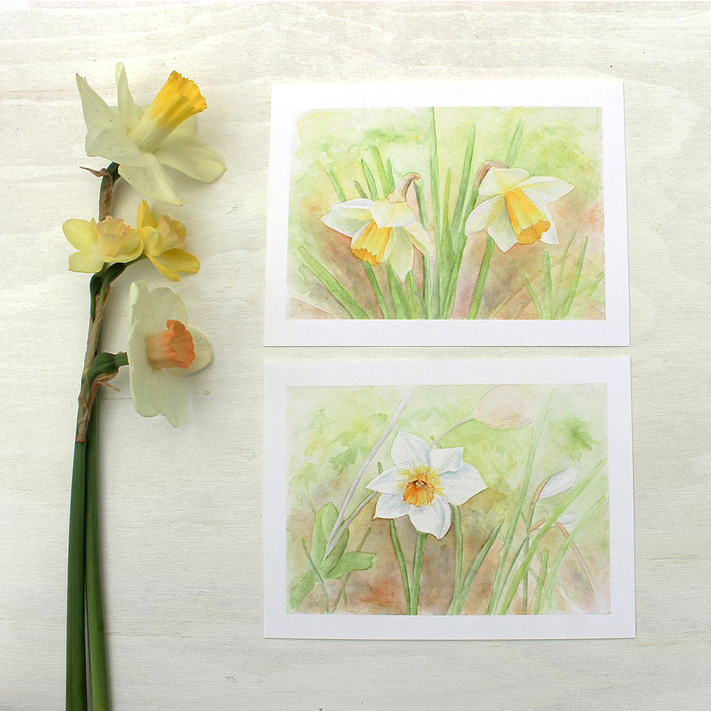 Two prints of daffodil watercolor paintings by Kathleen Maunder