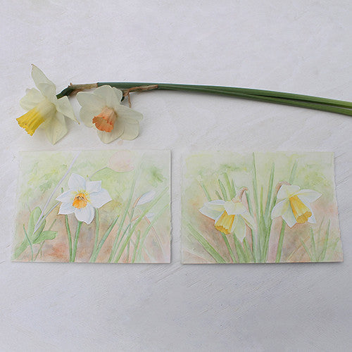 Daffodil Watercolor Painting - Narcissus