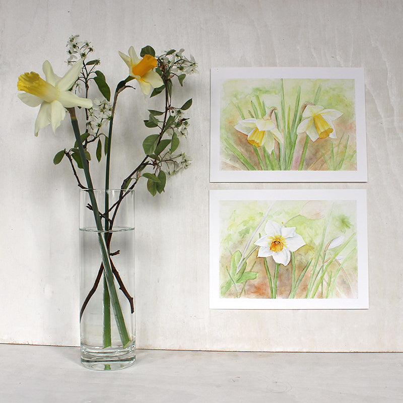 Two daffodil prints by watercolour artist Kathleen Maunder