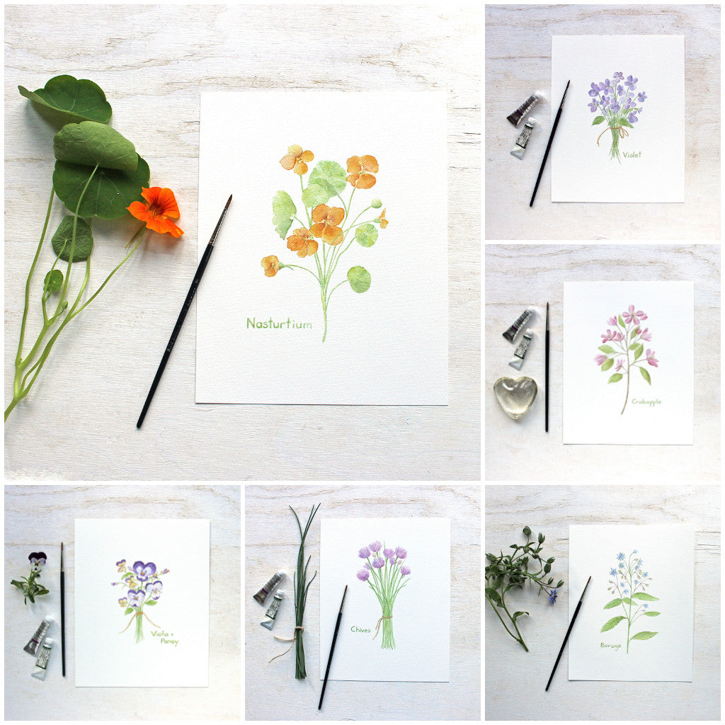 Edible Flowers - Six botanical prints by Kathleen Maunder