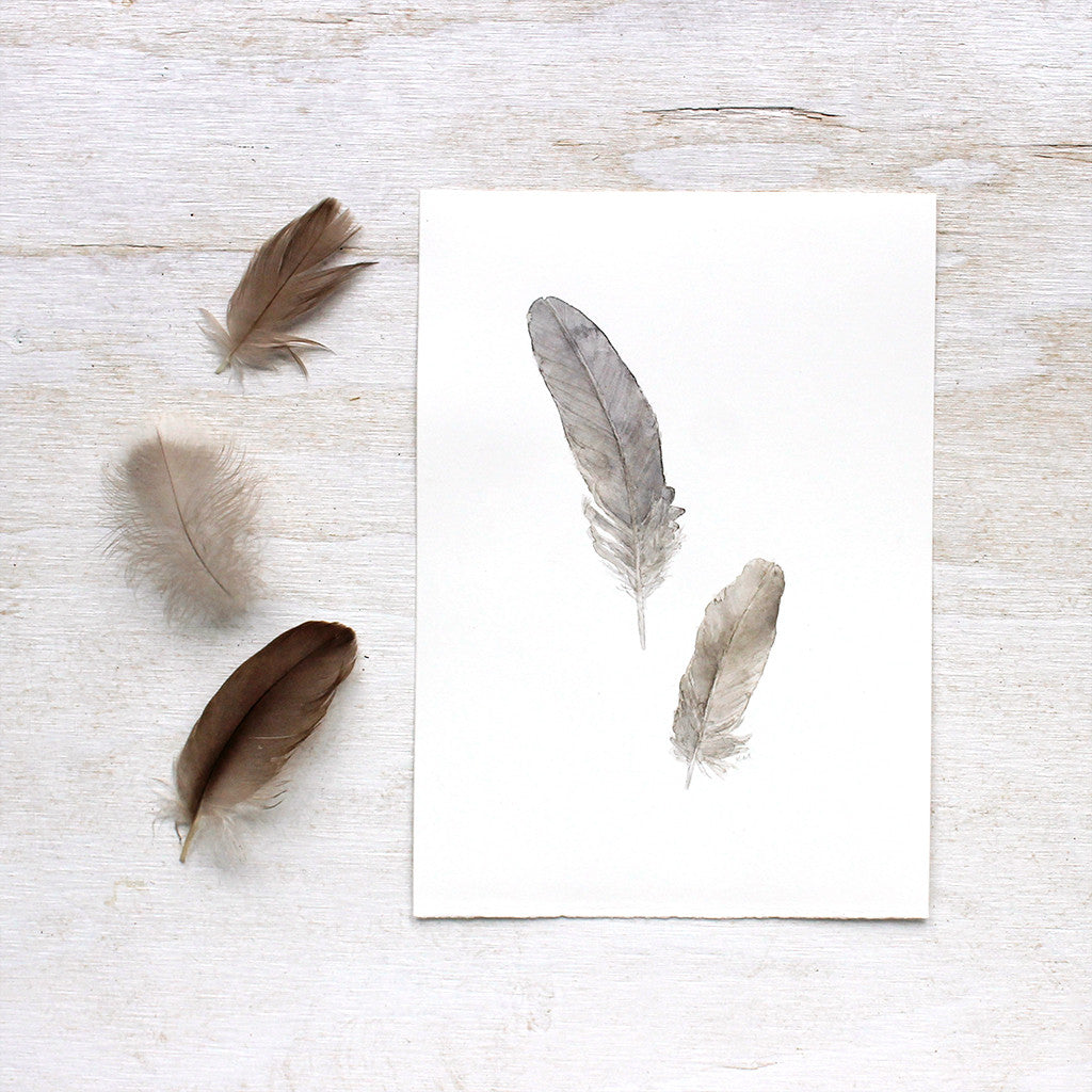 Original watercolor painting of sparrow feathers by Kathleen Maunder