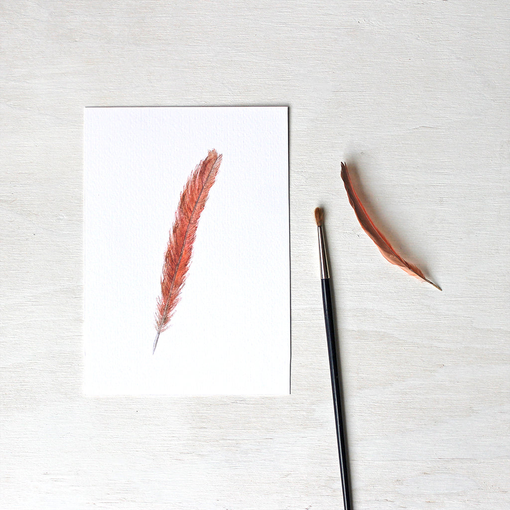 Art print featuring an original watercolour painting of an orange-red female Northern cardinal tail feather by Canadian artist Kathleen Maunder.