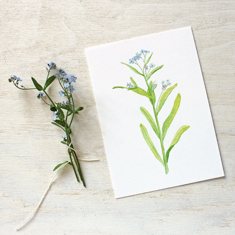 Forget-me-not print by watercolour artist Kathleen Maunder