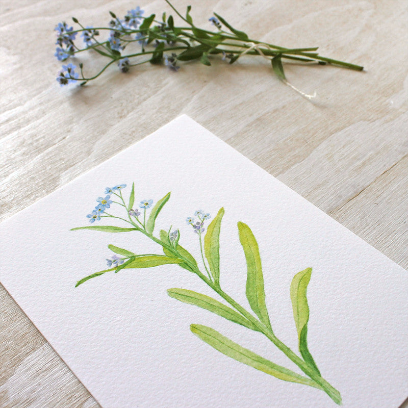 Forget-me-not print by watercolour artist Kathleen Maunder