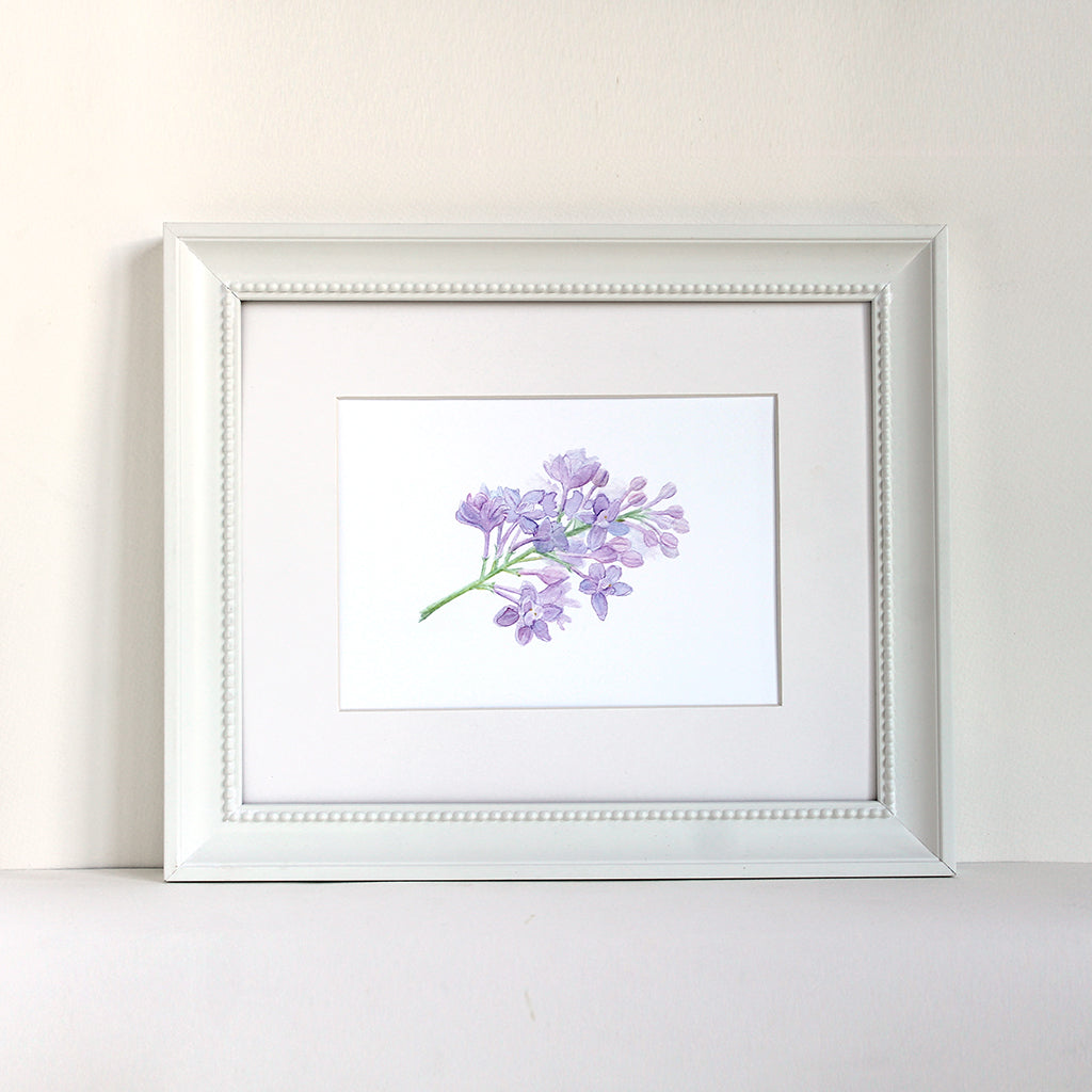 Framed art print of a lovely watercolor painting of a sprig of lilacs. Artist Kathleen Maunder.