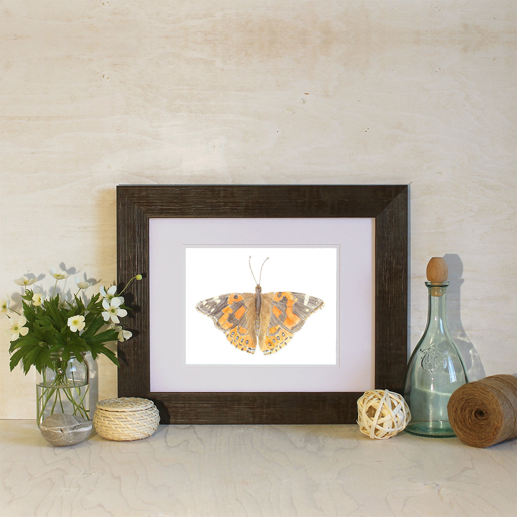 Sample Framed 'Painted Lady Butterfly' watercolor print by Kathleen Maunder of Trowel and Paintbrush