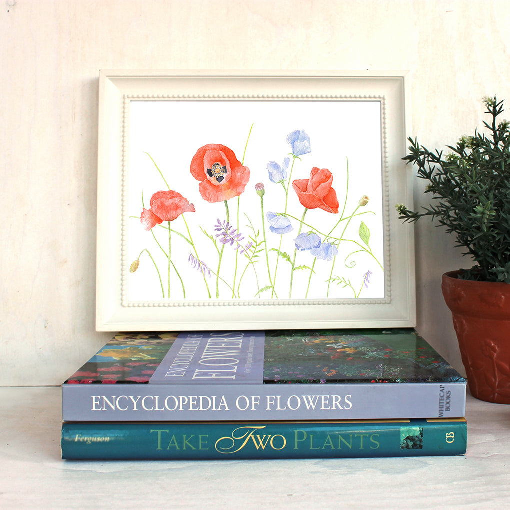Red poppies and sweet peas - watercolor print by artist Kathleen Maunder