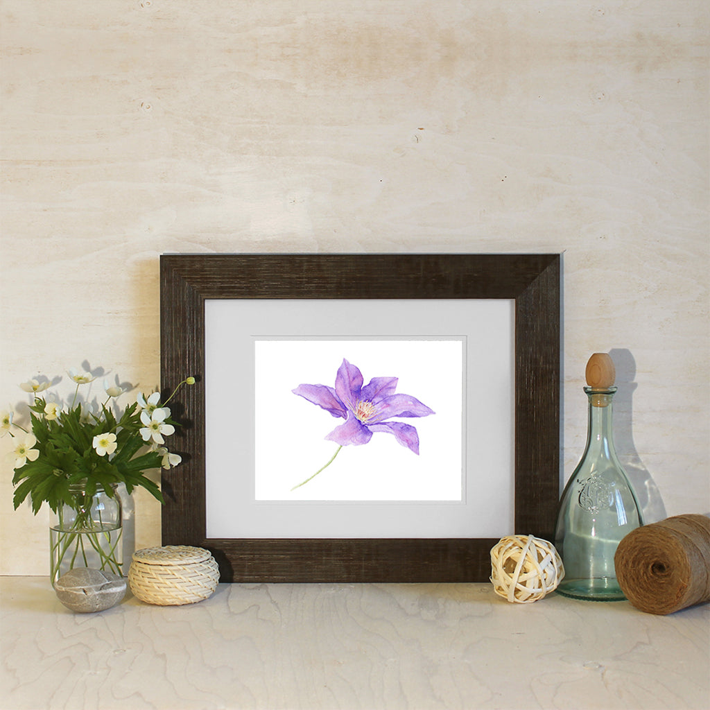 Clématite violette - Reproduction d'art