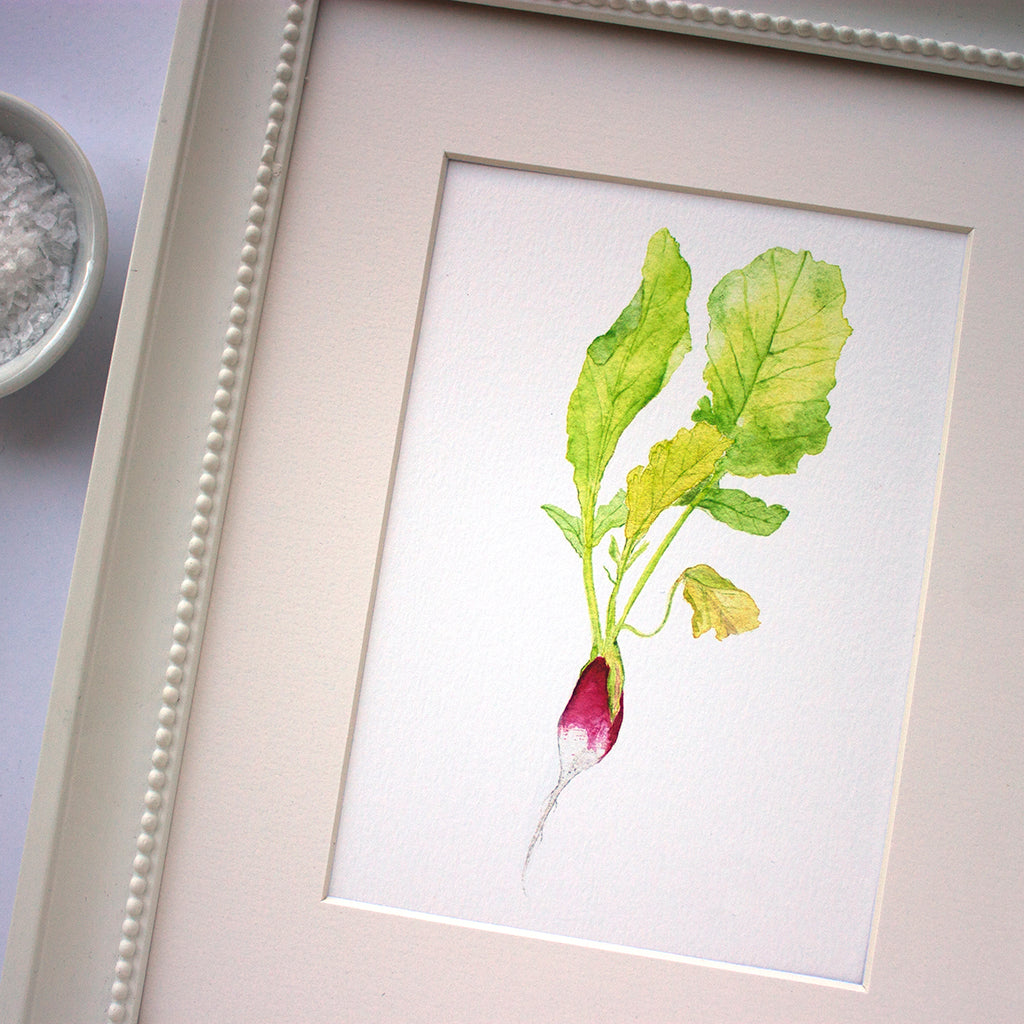 Radish Art Print