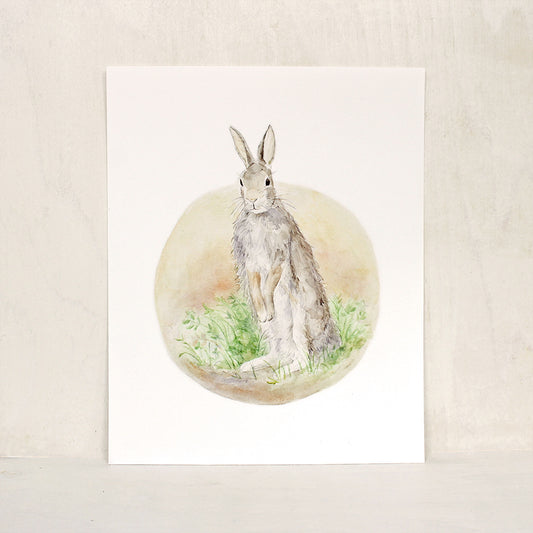 Garden rabbit art print. Reproduction of a watercolor painting of an Eastern cottontail rabbit. Artist Kathleen Maunder.