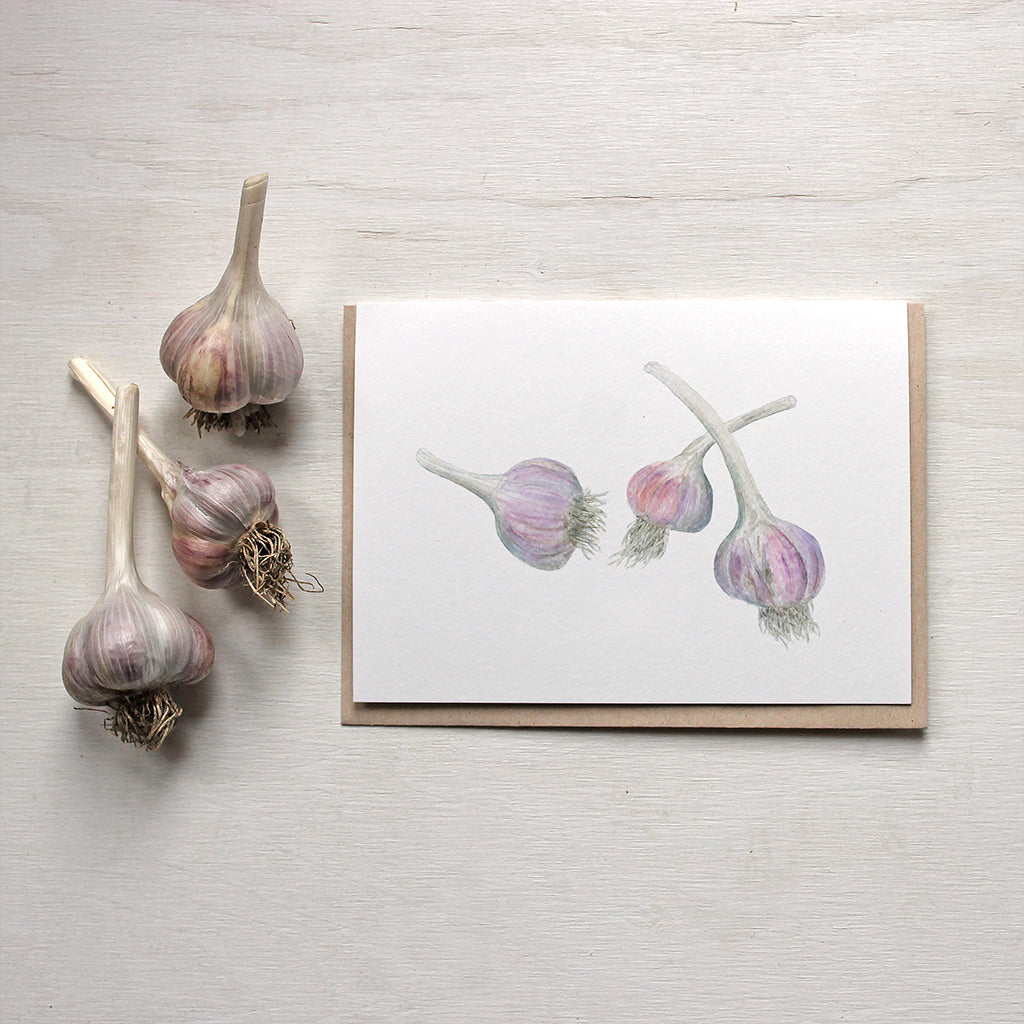 Purple stripe garlic bulbs - note cards based on watercolour by Kathleen Maunder