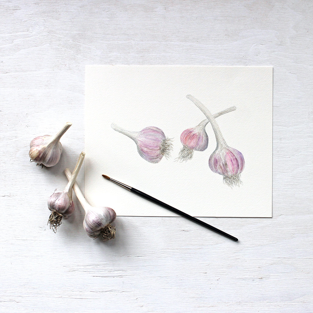 Print based on detailed watercolor painting of three garlic bulbs by Kathleen Maunder - Trowel and Paintbrush.