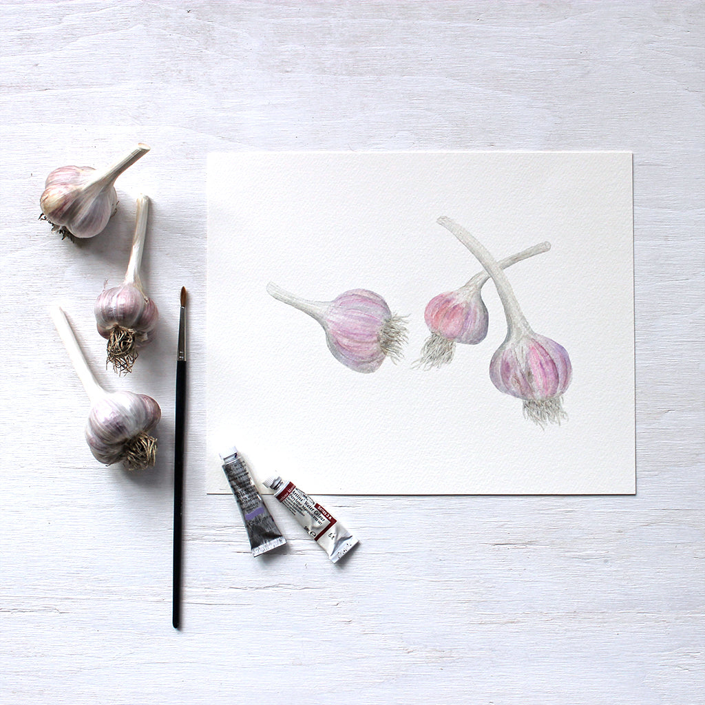 Three bulbs of purple stripe garlic - Watercolour by Kathleen Maunder of Trowel and Paintbrush