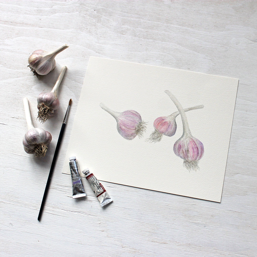 Three bulbs of purple stripe garlic - Watercolor by Kathleen Maunder of Trowel and Paintbrush