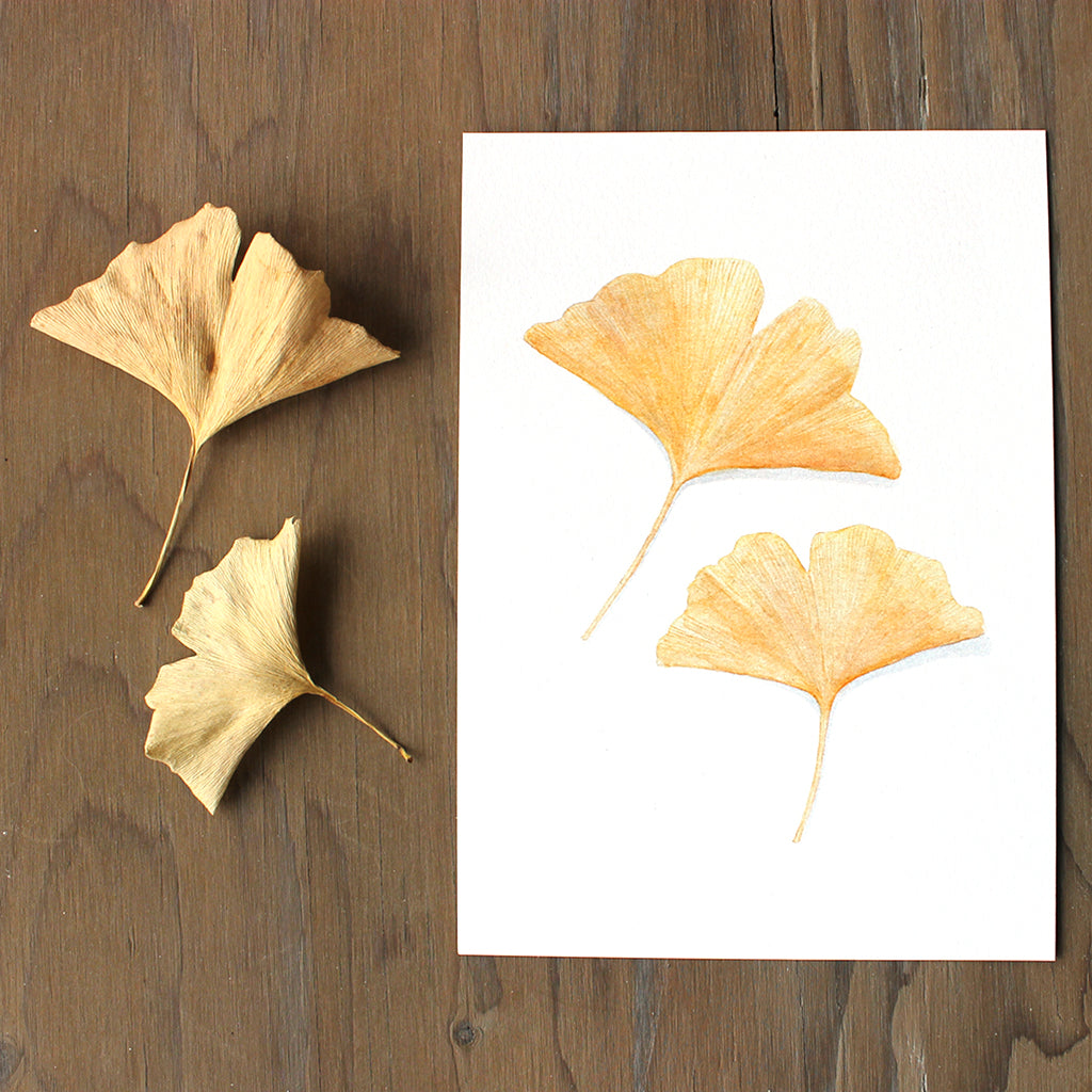 Close up of yellow ginkgo leaf art print by watercolor artist Kathleen Maunder.