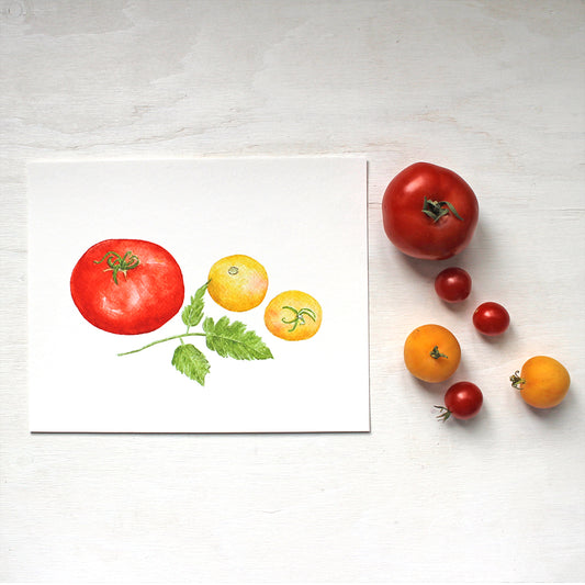 A watercolor art print depicting three heirloom tomatoes: a red Beefsteak tomato and two Garden Peach tomatoes. Artist Kathleen Maunder.