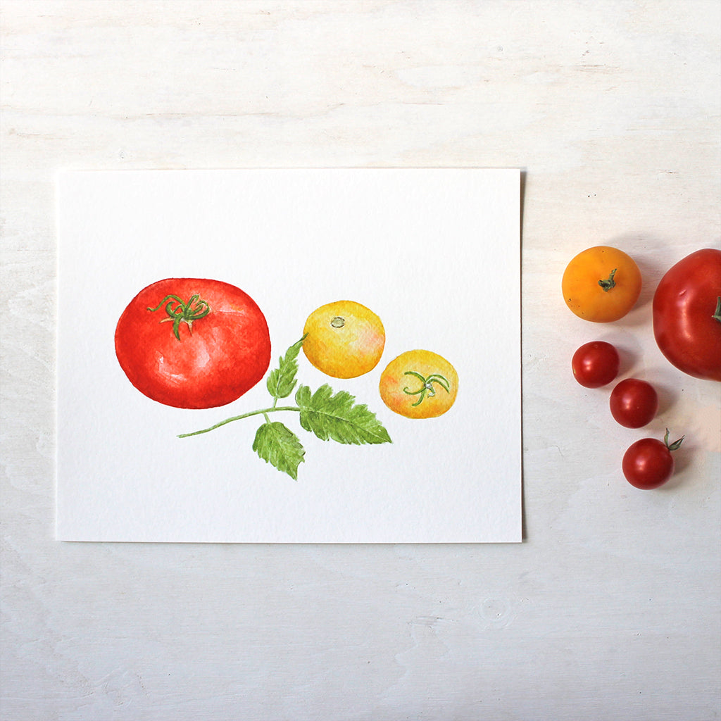 An art print of three heirloom tomatoes (one red Beefsteak and two yellow Garden Peach tomatoes) by watercolor artist Kathleen Maunder.