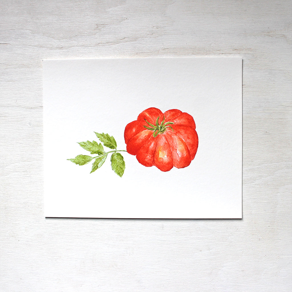 A red Costoluto Fiorentino tomato painted in watercolor by artist Kathleen Maunder. Available as a print.