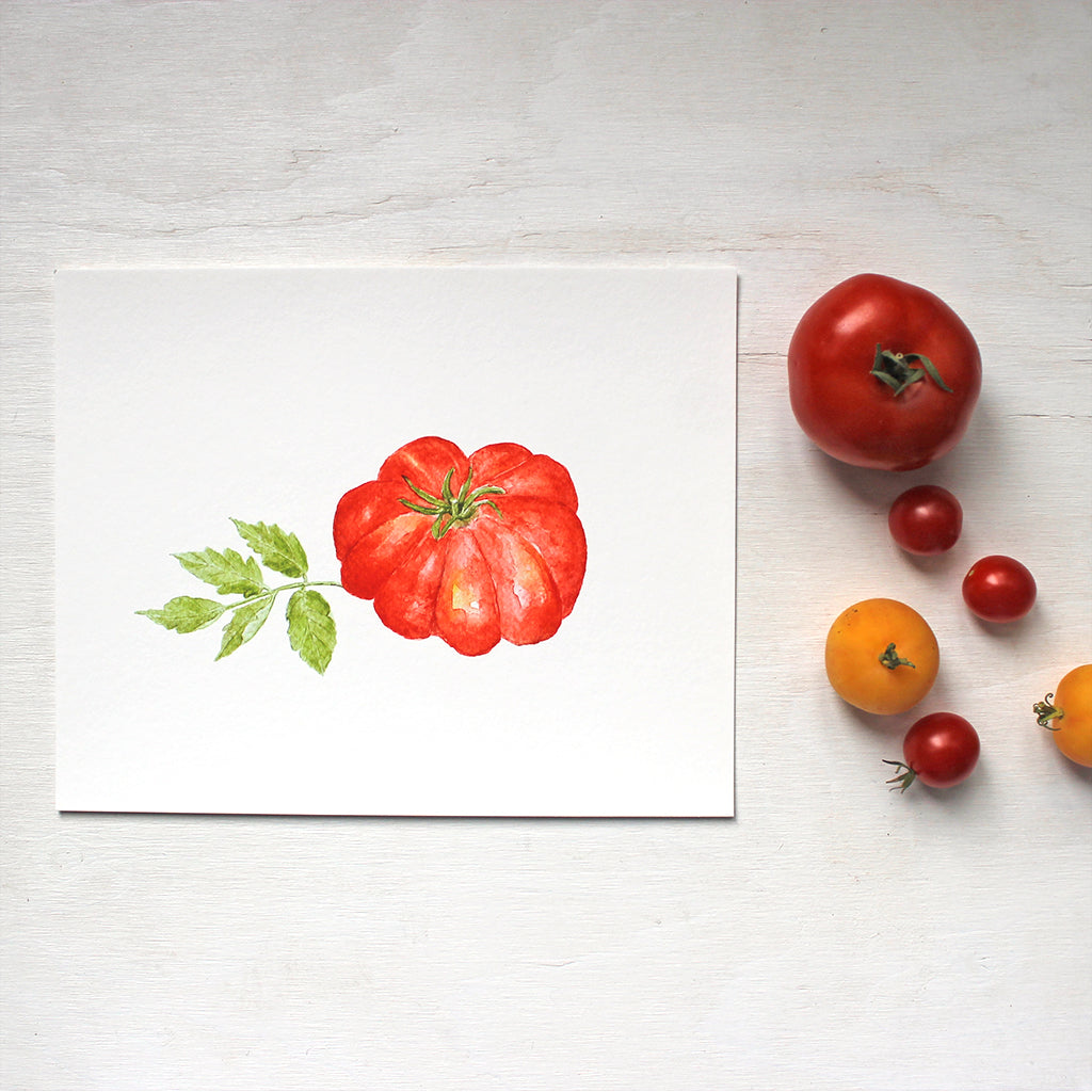 A beautiful red heirloom tomato (Costoluto Fiorentino) and leaf painted by watercolour artist Kathleen Maunder.