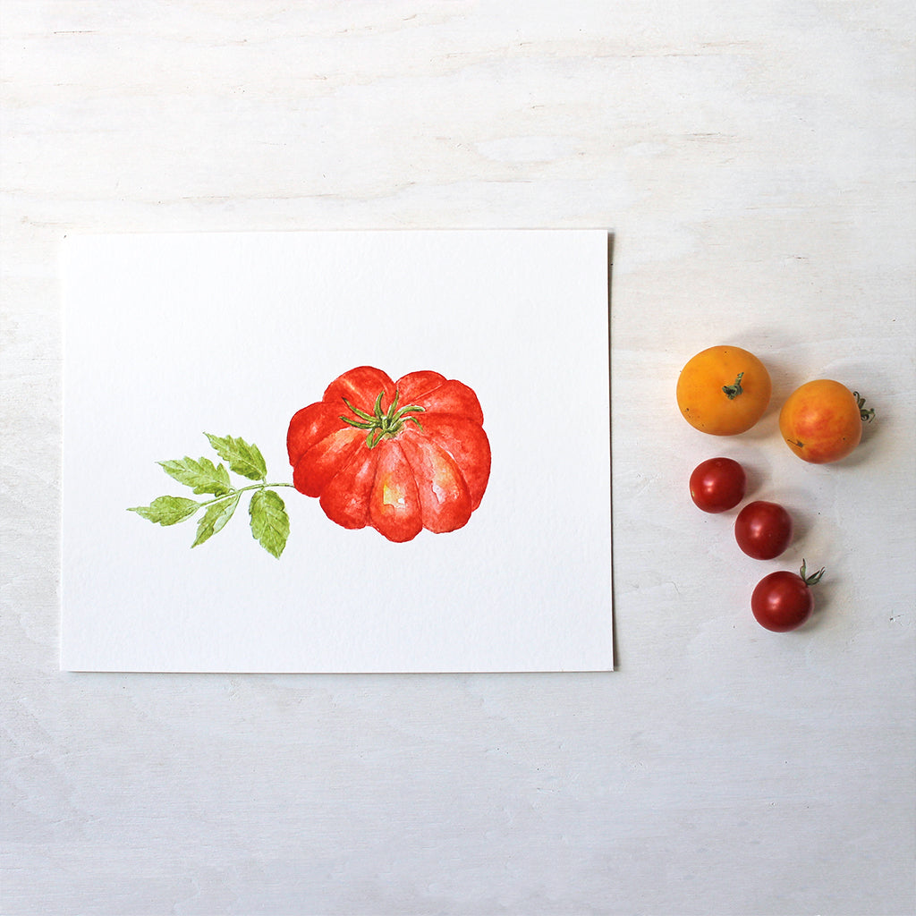 A print depicting a beautiful red heirloom tomato, Costoluto Fiorentino. Painted by watercolor artist Kathleen Maunder.