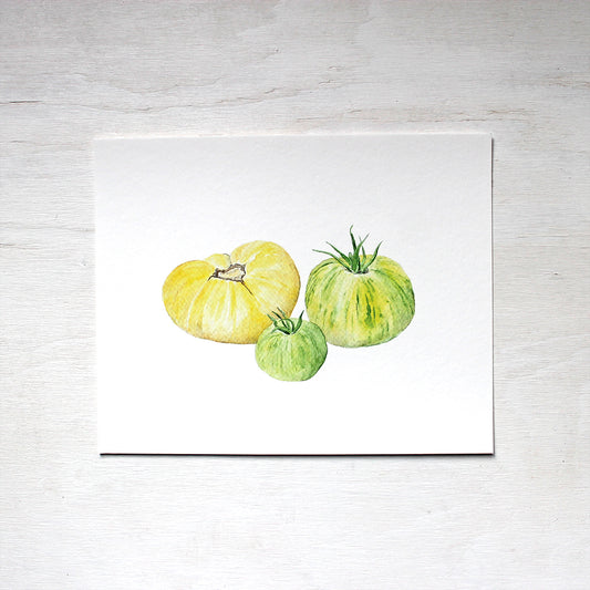 A print depicting three heirloom tomatoes, one pale yellow and two green striped ones. Painted by watercolor artist Kathleen Maunder.
