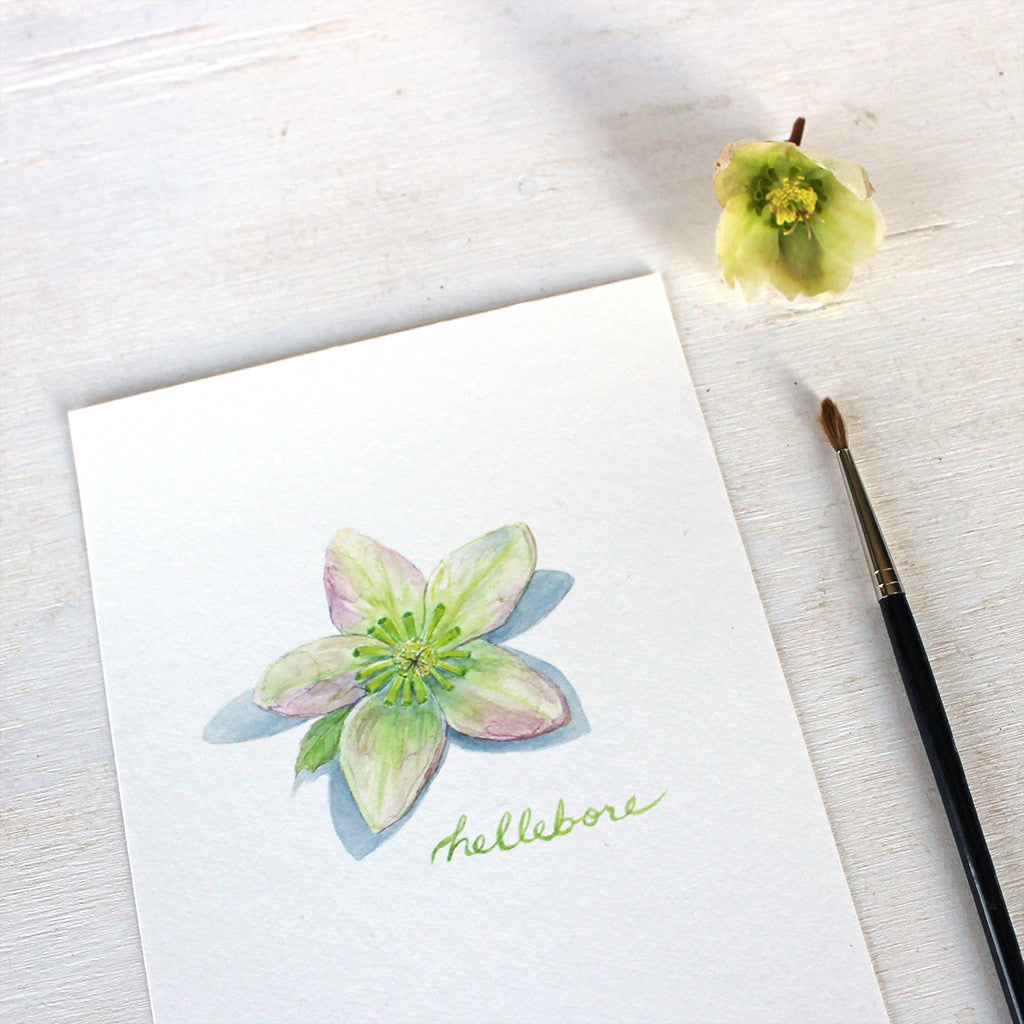 Hellebore art print featuring a botanical watercolor painting by Kathleen Maunder
