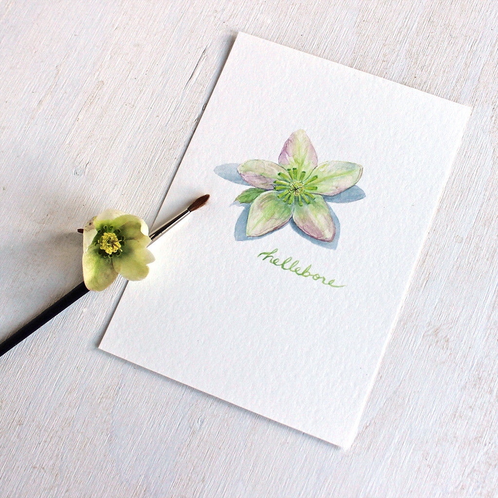 An art print featuring a botanical watercolor painting of a hellebore flower by Kathleen Maunder