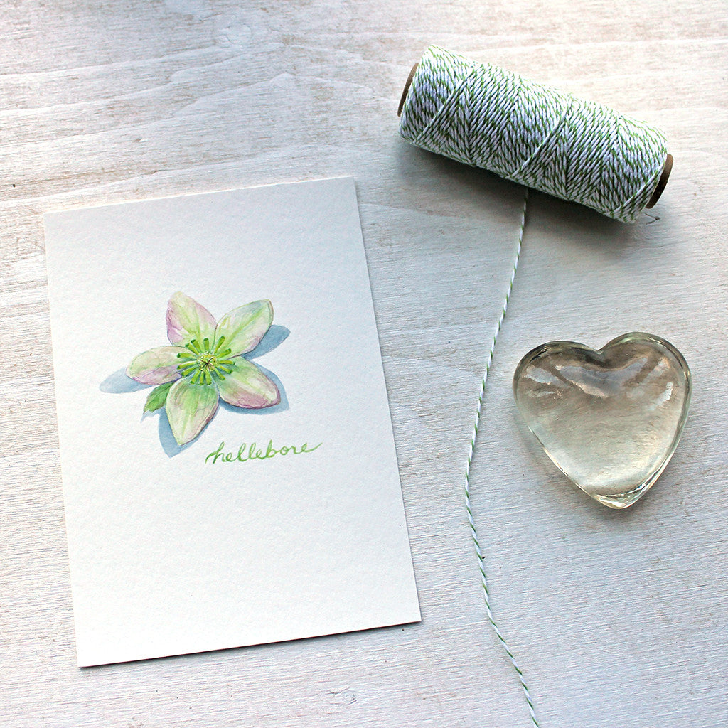 Lovely little art print featuring a watercolor painting of a pink, green and cream coloured hellebore flower by Kathleen Maunder