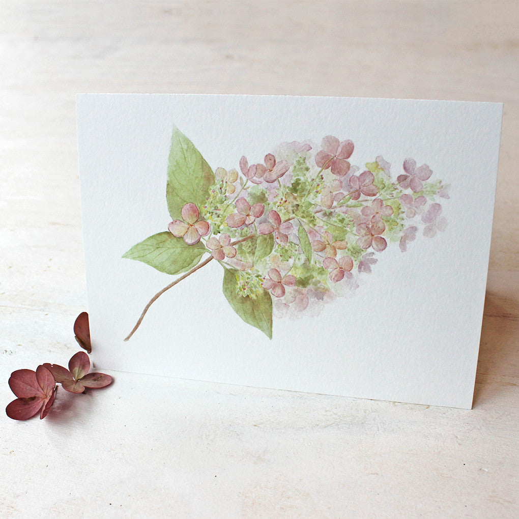 Hydrangea note cards by watercolor artist Kathleen Maunder of Trowel and Paintbrush