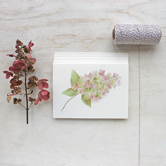 Hydrangea note cards by watercolor artist Kathleen Maunder of Trowel and Paintbrush