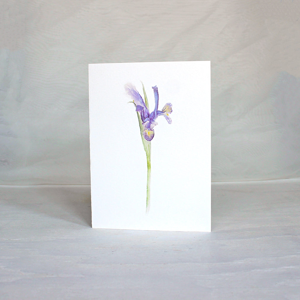 Siberian iris watercolor painting featured on note cards.