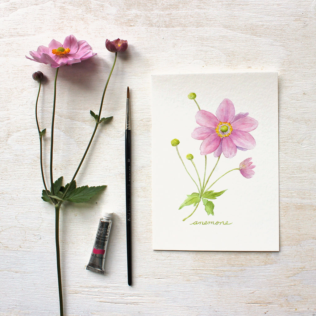 Pink Japanese anemone painted in watercolor by artist Kathleen Maunder.