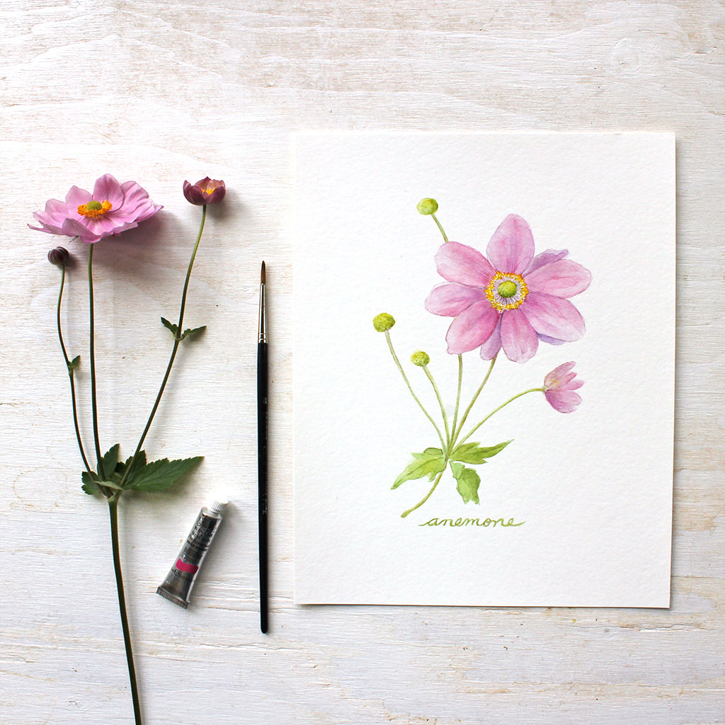 Reproduction of a watercolor painting of a pink Japanese anemone by artist Kathleen Maunder.