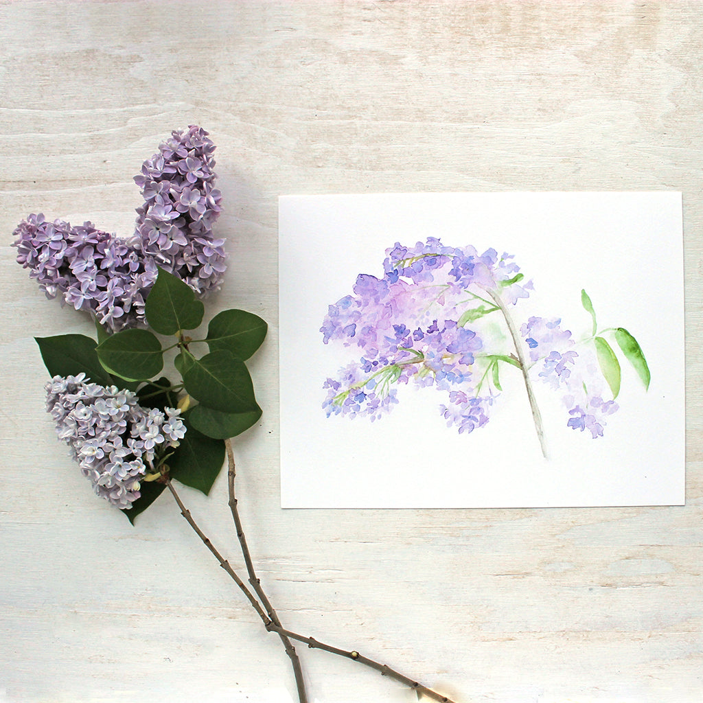 Lilacs Watercolor Print by artist Kathleen Maunder of Trowel and Paintbrush