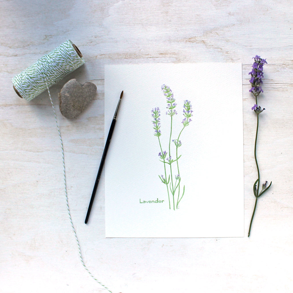 A lovely art print featuring a watercolor painting of three sprigs of lavender. Artist Kathleen Maunder.