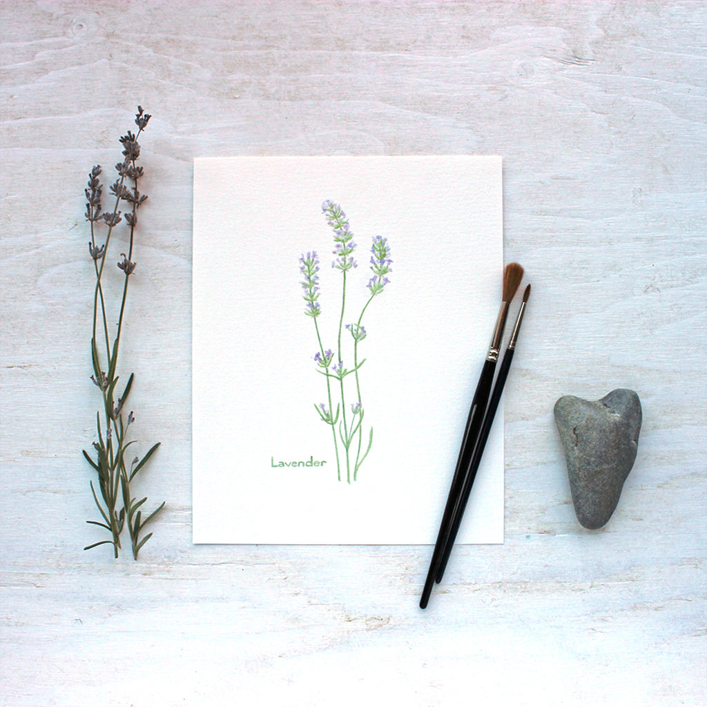 A botanical art print featuring a watercolour painting of three stems of lavender. Artist Kathleen Maunder.