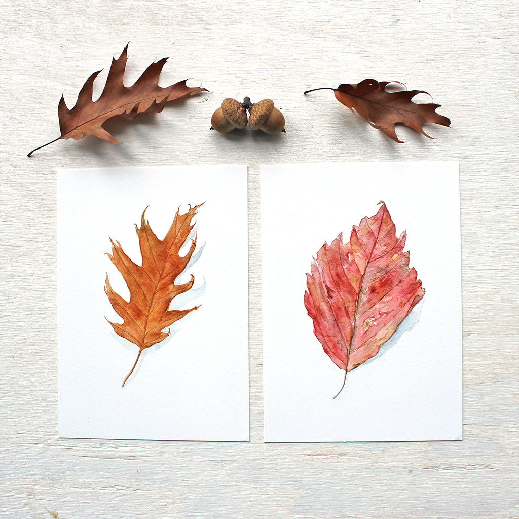 A duo of autumn leaf art prints: an oak leaf and red beech leaf. Based on watercolor paintings by Kathleen Maunder.