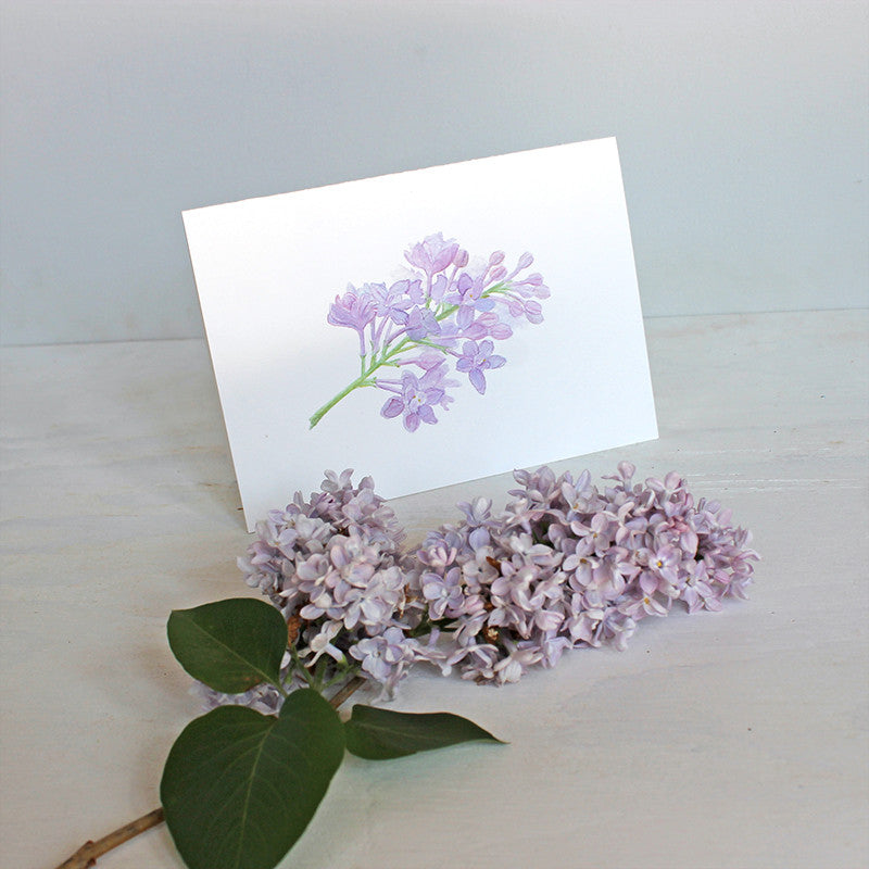 Note card featuring botanical watercolor of lilacs by Kathleen Maunder