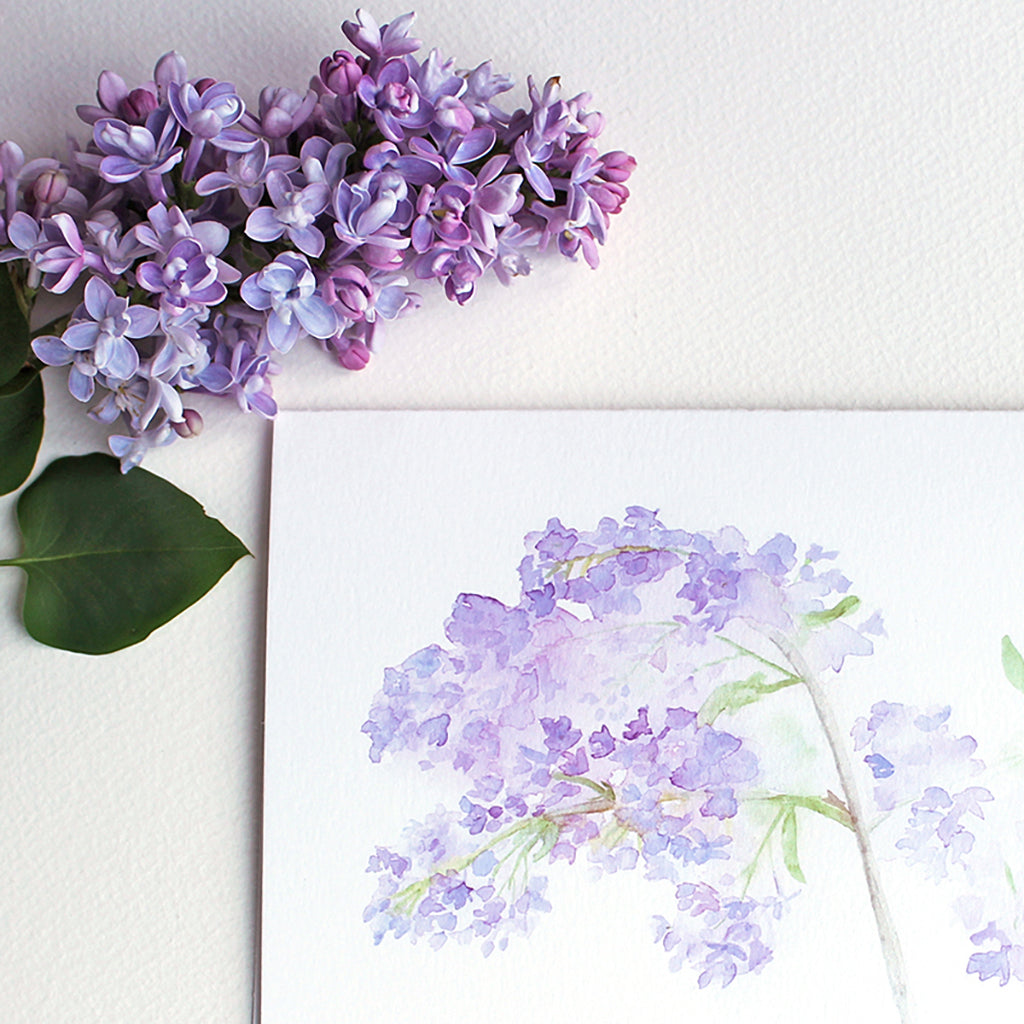 Close up of lilacs watercolor note card