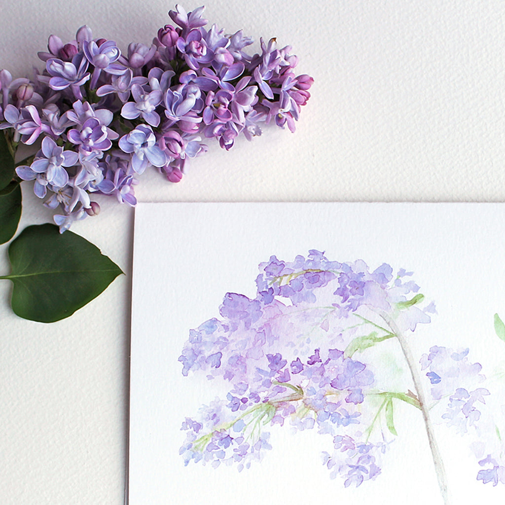 Lilacs Note Card Set – Trowel and Paintbrush