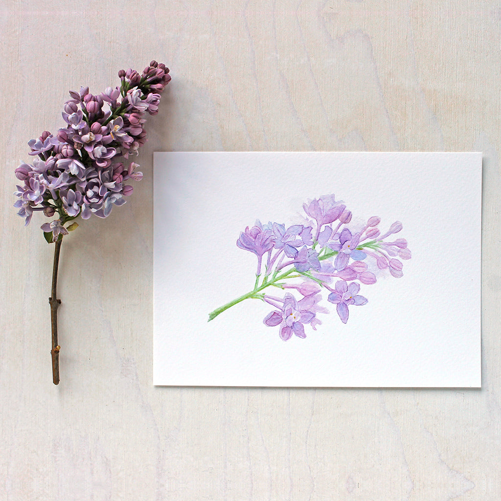 Art print of a lovely watercolor painting of a sprig of lilacs. Artist Kathleen Maunder.