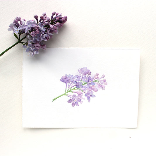 Brin de lilas -  Aquarelle originale