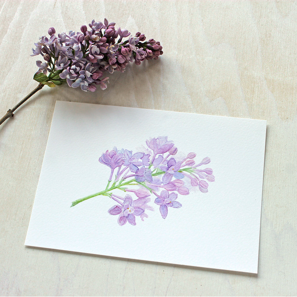 Art print of a delicate watercolor painting of lilac blossoms. Artist Kathleen Maunder.