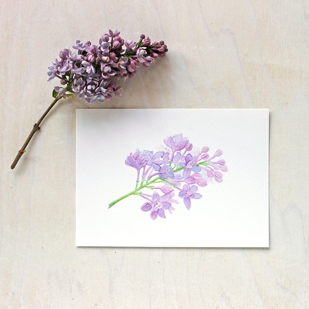 Art print of a lovely watercolor painting of a sprig of lilac flowers. Artist Kathleen Maunder.