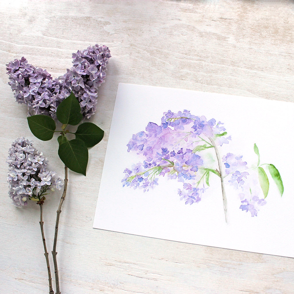 Beautiful art print featuring a watercolor painting of lilacs by artist Kathleen Maunder