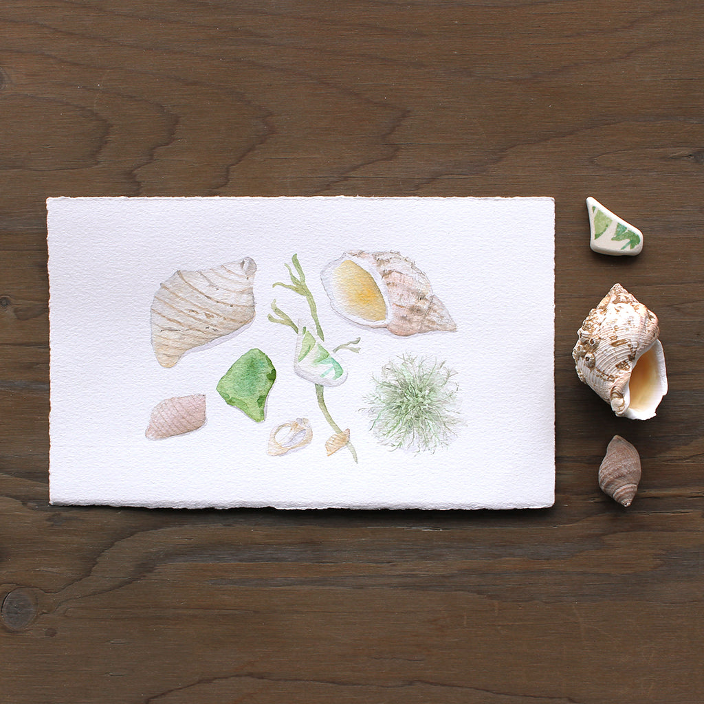 This is an original watercolor painting of beach treasures gathered on a vacation in Jonesport, Maine: shells, sea glass, a shard of pottery and some seaweed.
