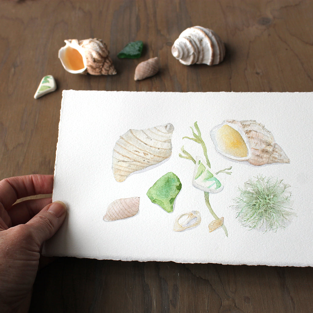 This is an original watercolor painting of beach treasures gathered on a vacation in Jonesport, Maine: shells, sea glass, a shard of pottery and some seaweed.