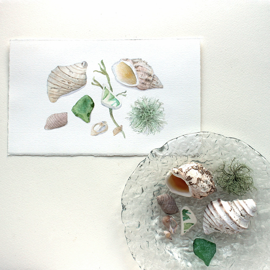 This is an original watercolor painting of beach treasures gathered on a vacation in Jonesport, Maine: shells, sea glass, a shard of pottery and some seaweed.